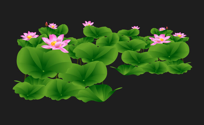池塘盛开的荷花flash动画