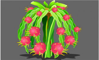 火龙果树种植flash动画
