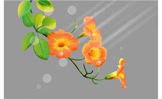 橘红色的花flash植物动画