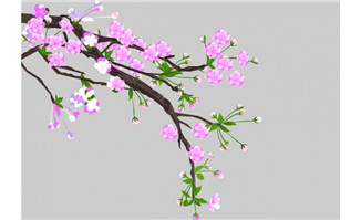梅花树开花flash动画