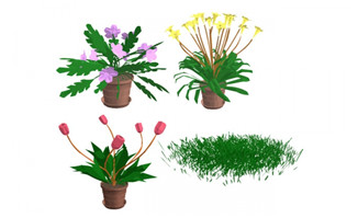 4种花卉花朵盆景造型设计素材