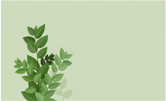绿色叶子植物背景设计素材