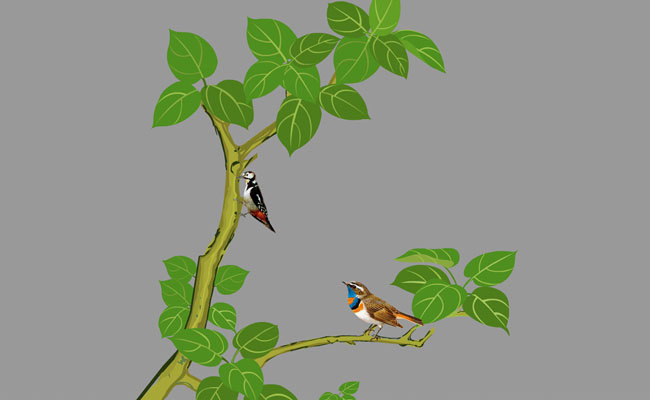  flash手绘植物与鸟背景设计素材