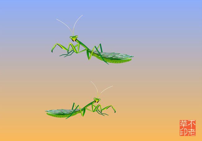 爬行的螳螂各种动作flash动画