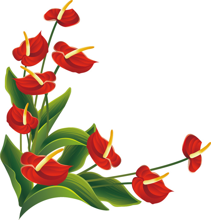春暖花开红色花朵素材免费下载