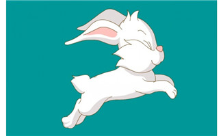 奔跑的兔子flash动画