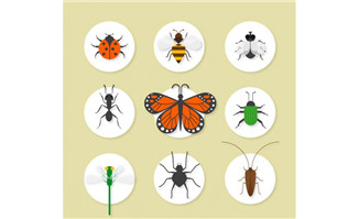 9款精致昆虫图标矢量素材