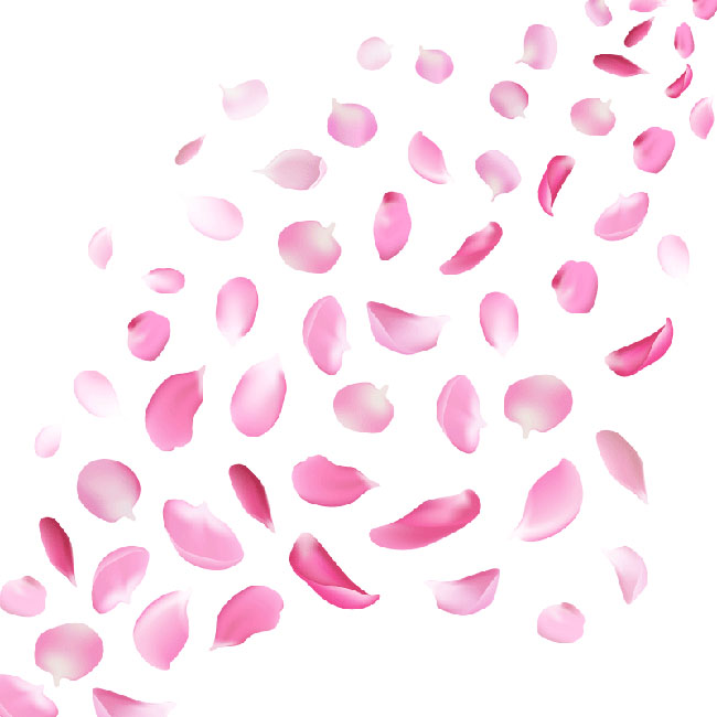矢量图粉色漂浮花瓣素材
