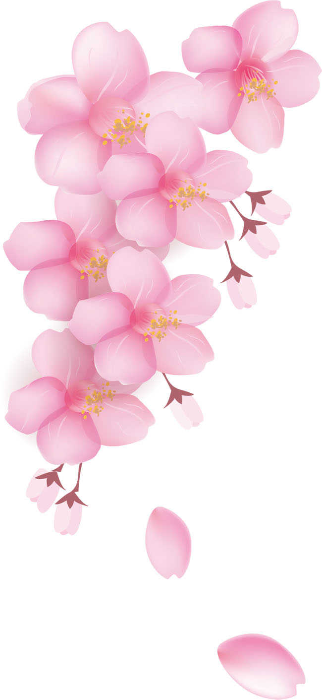  樱花花瓣元素矢量图素材
