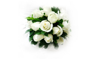 <b>新娘的白玫瑰花图片素材</b>