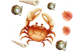 海鲜卡通螃蟹海螺扇贝矢量图素材下载