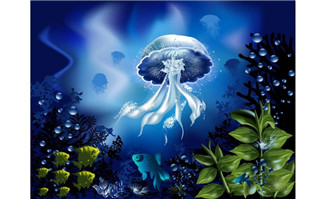 <b>海洋生物漂亮水母绚丽海底世界设计</b>