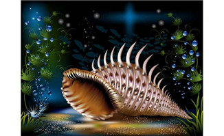 <b>海螺贝壳海底世界生物场景设计矢量素材</b>