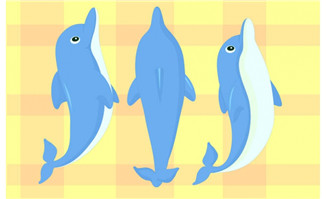 动漫卡通可爱小海豚跳跃的动作矢量素材