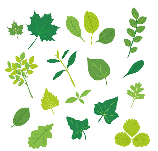 各种绿色树叶设计素材图标
