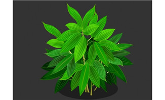 繁茂的绿叶flash植物动画素