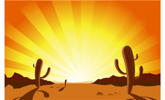 夕阳下的沙洲植物荒漠中的场景设计flash素材