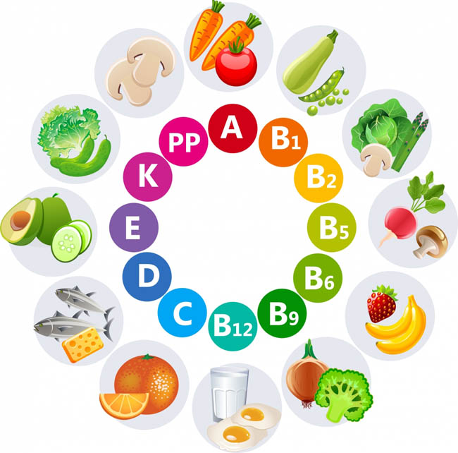 蔬菜水果各种营养成份元素设计表矢量素材