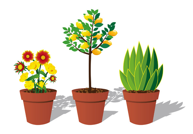 3种花卉植物花盆造型设计矢量素材