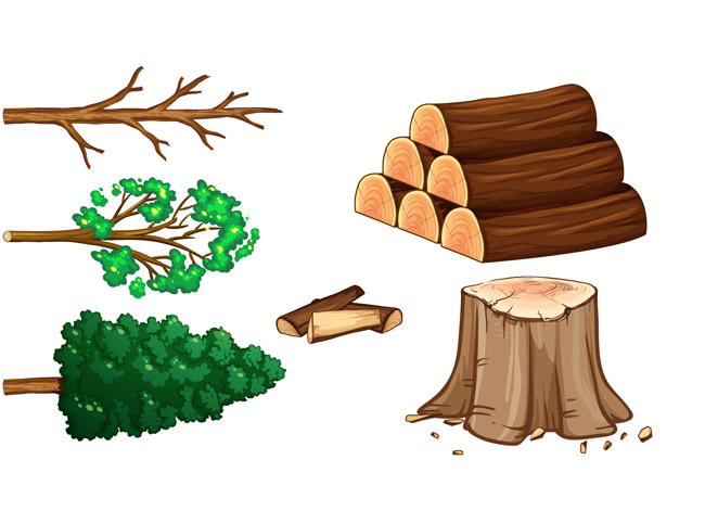 木材木桩砍伐掉的森林木头素材