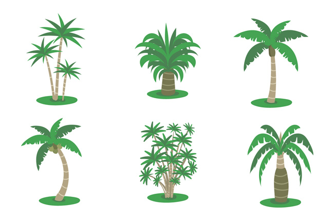 海岛海滩植物大树造型设计矢量素材