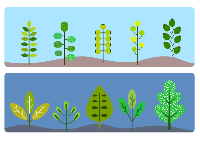 扁平化插画树木树叶造型设计背景素材