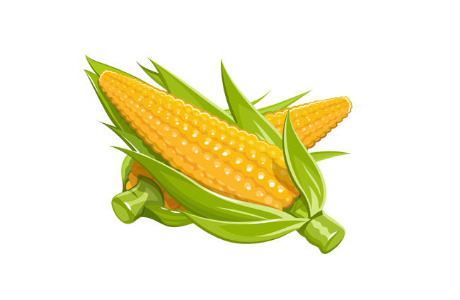 手绘卡通玉米蔬菜背景设计矢量素材