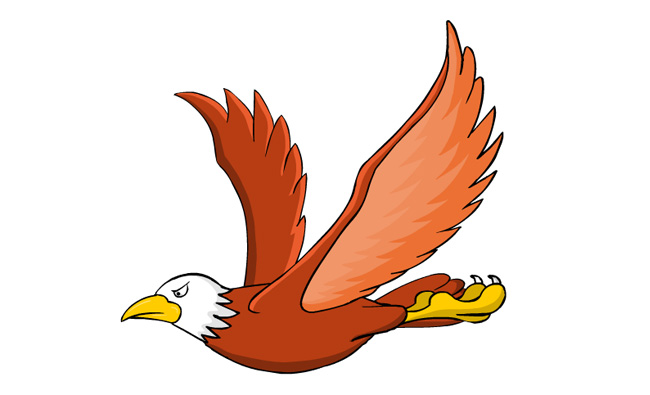 棕红色的老鹰飞翔的动作素材下载
