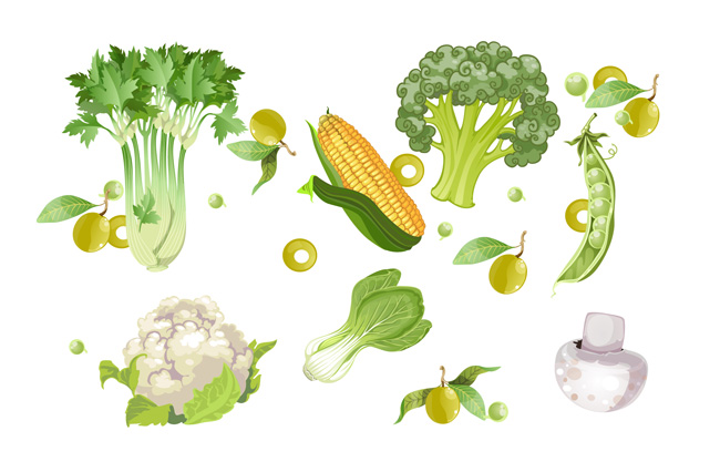 手绘矢量蔬菜元素大全背景设计素材