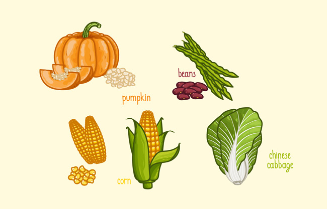 手绘蔬菜食物创意卡通背景设计素材