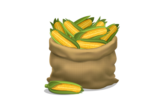 麻袋里面的玉米食物手绘矢量图