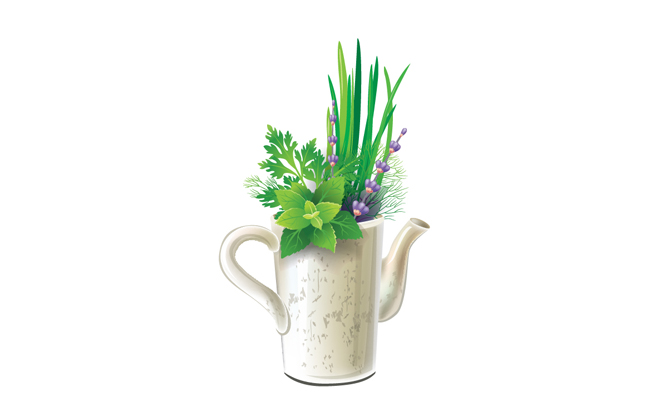 创意水杯卡通盆栽植物花卉矢量素材
