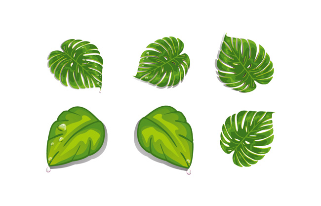 卡通热带植物绿叶ai矢量元素素材