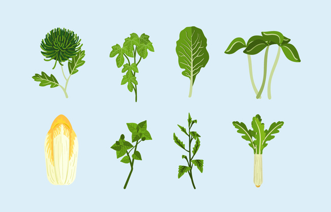 卡通手绘蔬菜绿叶叶子元素素材设计