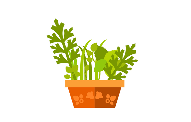 卡通绿植植物盆栽扁平设计AI素材