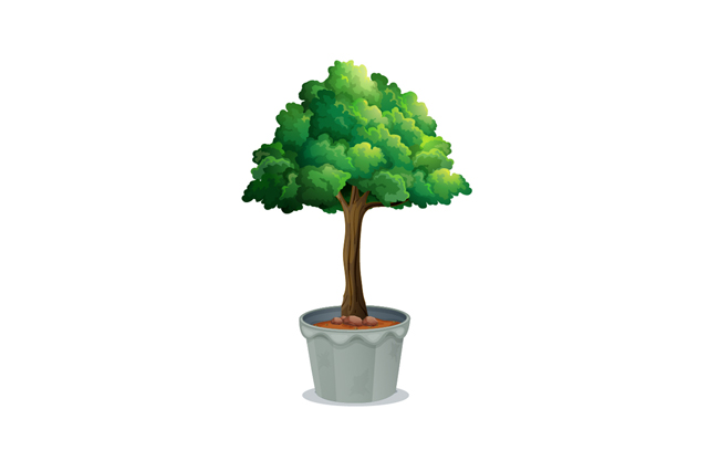 手绘绿植树木盆栽AI素材设计