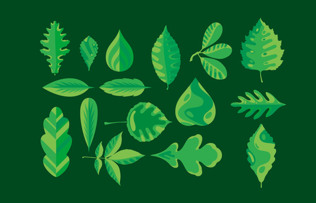 手绘卡通植物绿色叶子形状设计素材