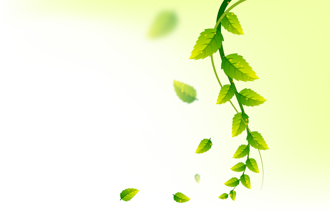 自然清新背景绿叶环保元素海报设计素材