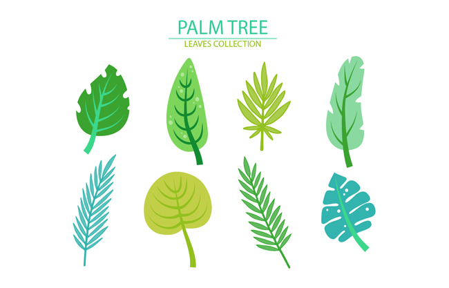 卡通植物棕榈树叶子形状素材设计