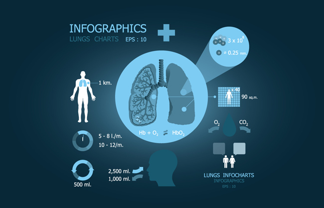 肺部医学信息图表设计
