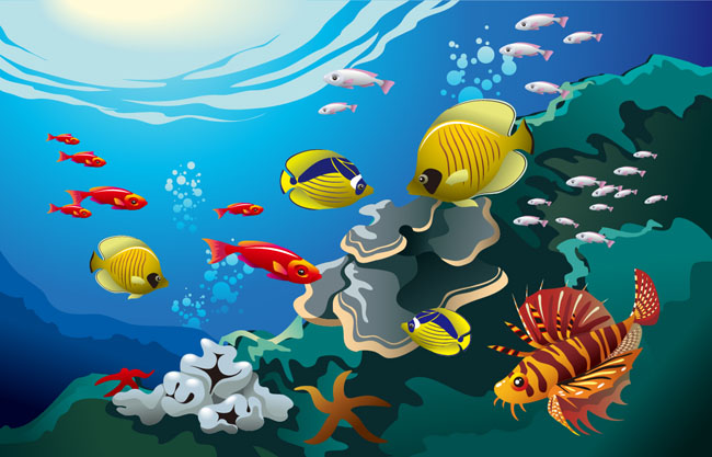 海洋动物植物背景素材设计