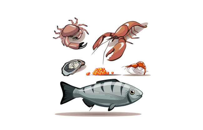 新鲜美味海鲜插画插图素材下载