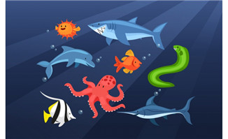 卡通海洋动物矢量设计素