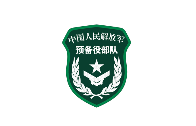 中国人民解放军预备役部队徽章臂章图片