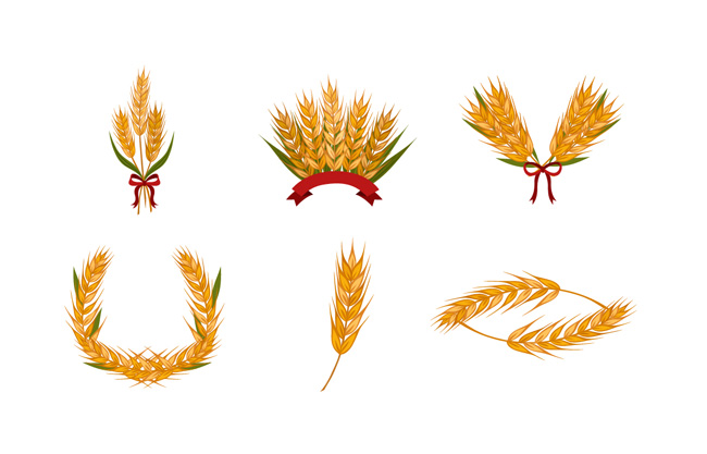 金色小麦麦叶造型设计