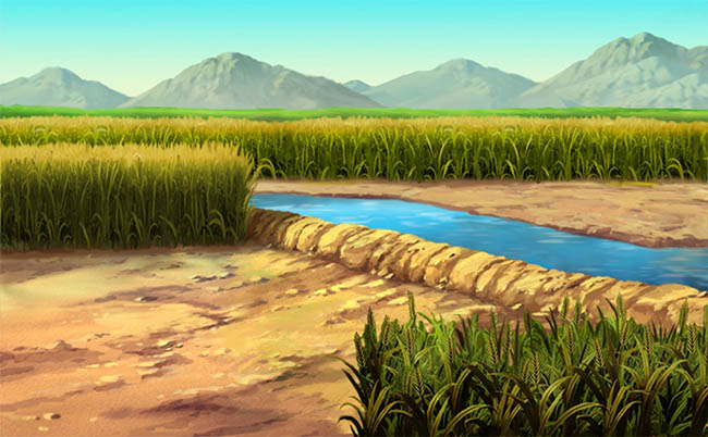 手绘平原的水稻种植基地ps场景设计