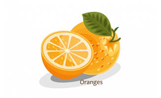 水果橙子AI素材下载