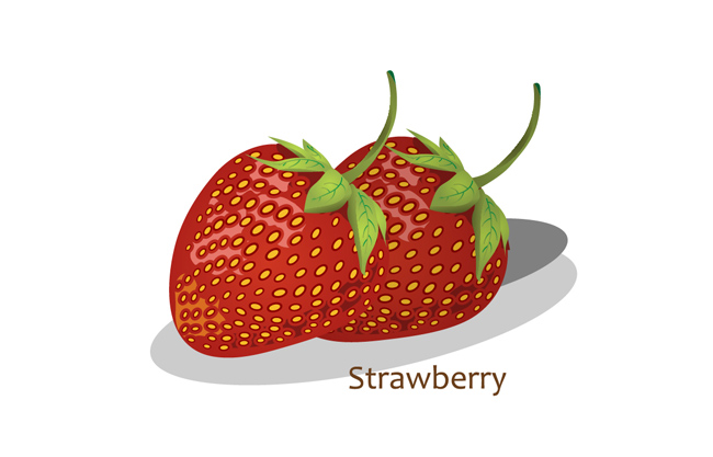 水果草莓矢量素材图片