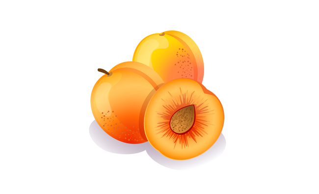 杏子黄杏水果素材矢量