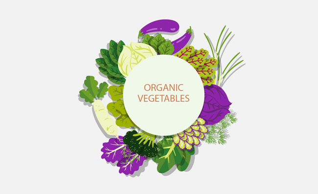 有机彩色蔬菜矢量设计素材